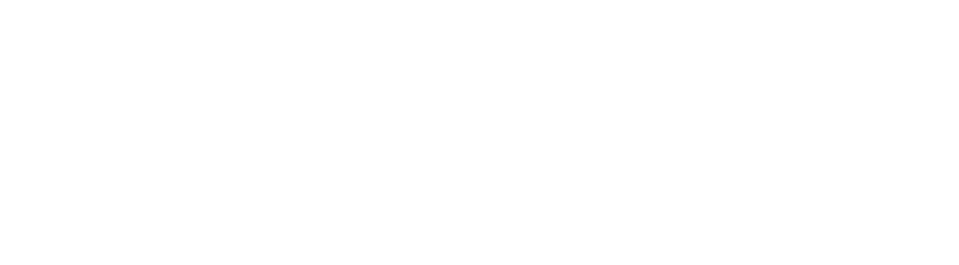 Biatsports Logo